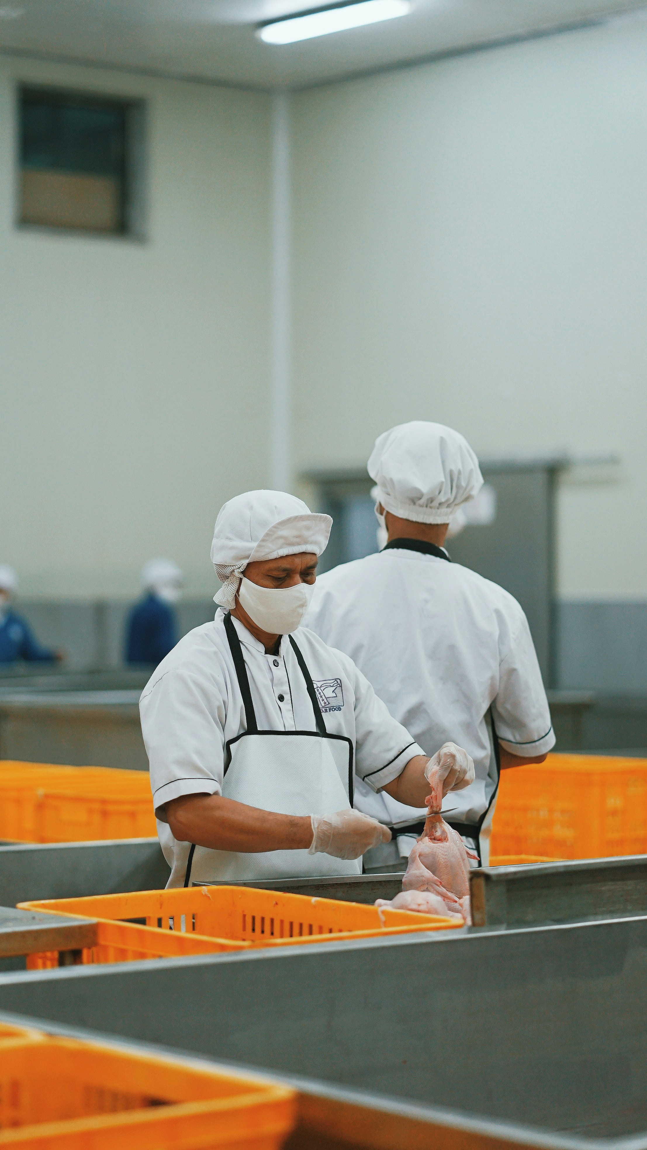 Production staff working in a modern facility